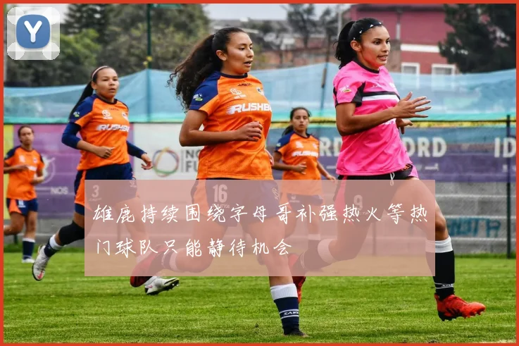 雄鹿持续围绕字母哥补强热火等热门球队只能静待机会